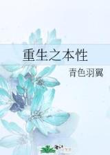 红楼之迎春花开